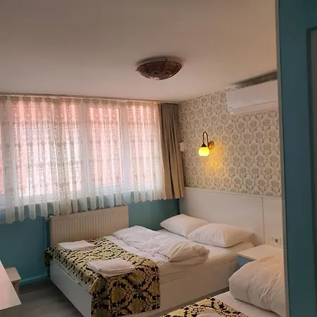 Guest house Tulip 2*