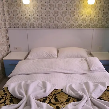 Guest house Tulip 2*