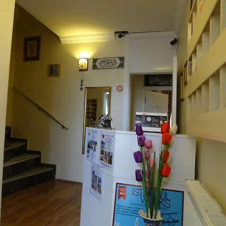 בית הארחה Tulip