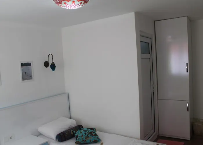 Kwatera prywatna Tulip