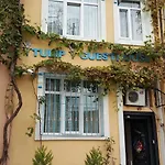 Privat bolig Tulip *