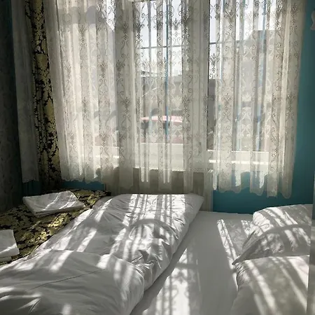 Maison d'hôtes Tulip