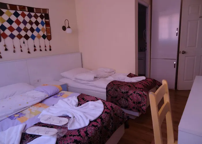 Tulip Homestay Istanbul