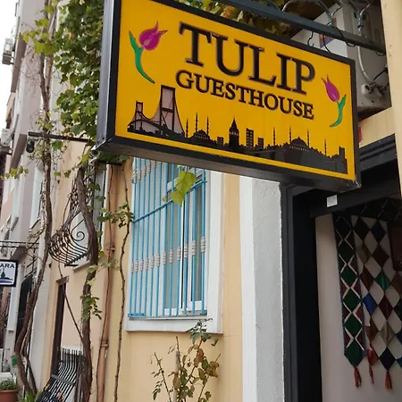 Tulip 2*